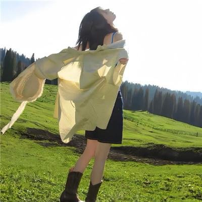 荒江女侠